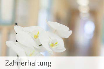 Zahnerhaltung